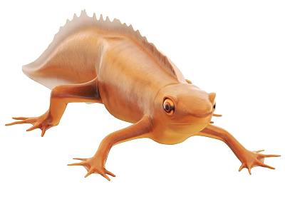 Orange Reptile Salamander With Smooth Skin Spiny Back And Detailed Limbs 3d model