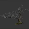Leafless Tree With Twisted Trunk And Exposed Roots On White Background 3d model