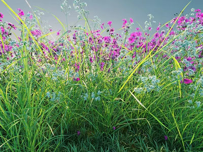 Vibrant Natural Meadow With Purple Flowers Green Grass And Small White Blooms 3d model