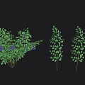 Cartoon Scene Featuring Blue Berries and Green Leaves on Black Background