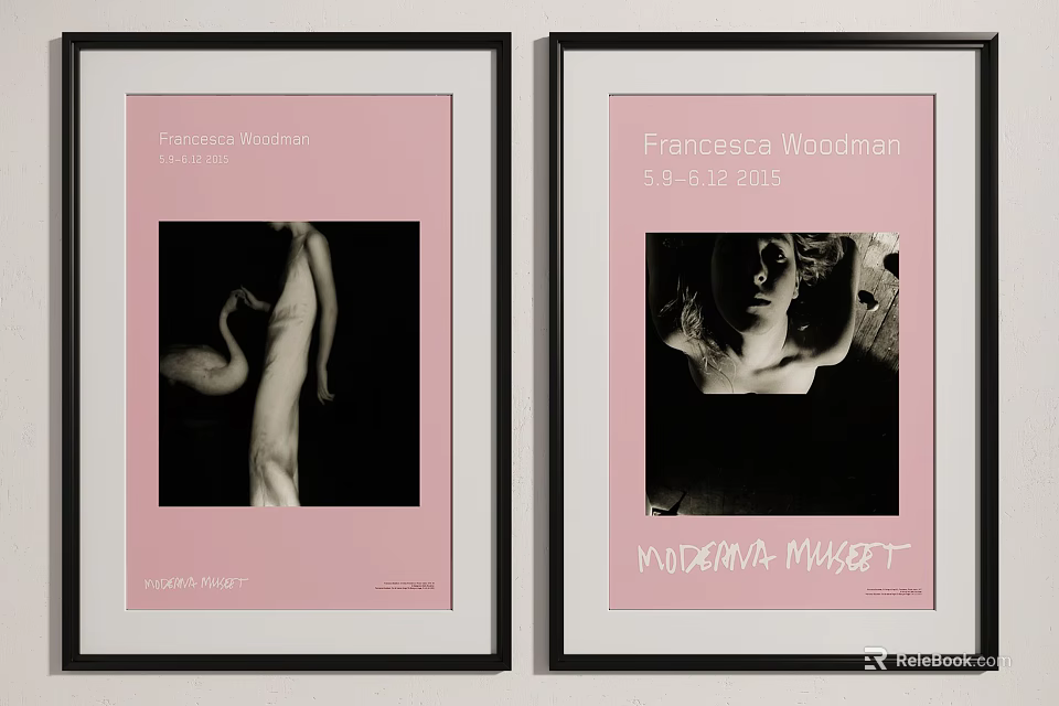 Two Framed Francesca Woodman Black and White Portrait Posters for Moderna Museet 3d model 
