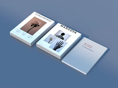 Modern Magazine Collection with Floral Image Silhouette Hand Illustration and Minimalist Covers 3d model