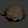 Owl Character With Hooded Cloak Brown Outfit And Leather Boots 3D Model Design