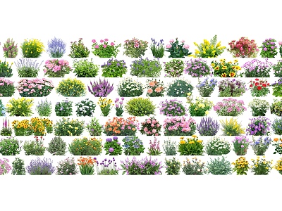 flowers and flowers plants covered garden flowers and flowers flower glasses plants model