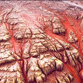 Garden Landscape with Red Brown Texture and Undulating Terrain Ravines Design