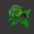 Vibrant Pink Blooming Hydrangea Plant With Lush Green Leaves On Dark Background