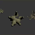 Decorative Cream White Plant Sculptures With Various Shapes On Gray Black Reflective Surface