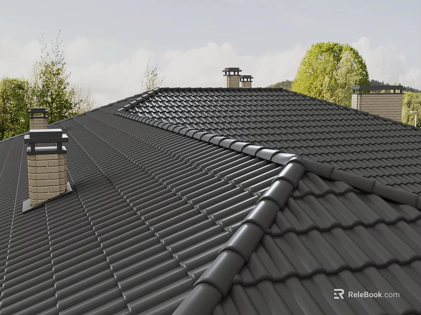 Black Roof Tiles And Chimneys On Residential Roof Structure With Green Trees Background 3d model 