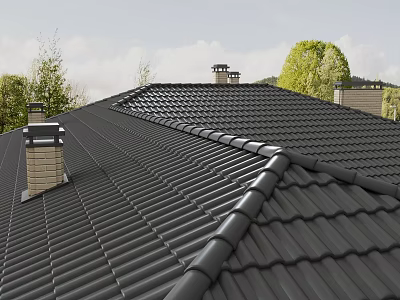 Black Roof Tiles And Chimneys On Residential Roof Structure With Green Trees Background 3d model
