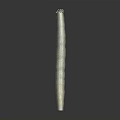 Tall Green Columnar Cactus Plant with Small Top Growth on Dark Background