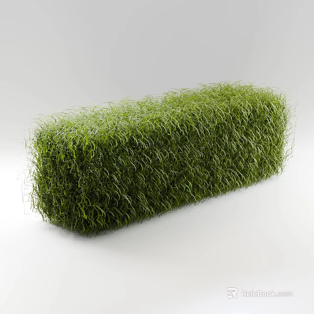 Green Shrub with Rectangular Shape and Lush Green Foliage on White Background 3d model 