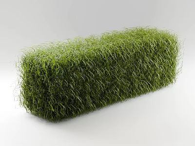 Green Shrub with Rectangular Shape and Lush Green Foliage on White Background 3d model