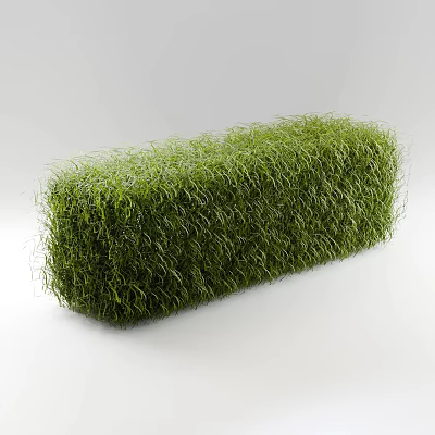 Green Shrub with Rectangular Shape and Lush Green Foliage on White Background 3d model