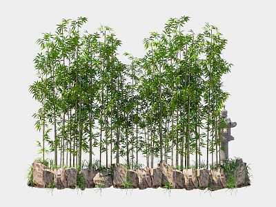 Lush Green Bamboo Plants Growing With Natural Stone Base In Garden Landscape 3d model