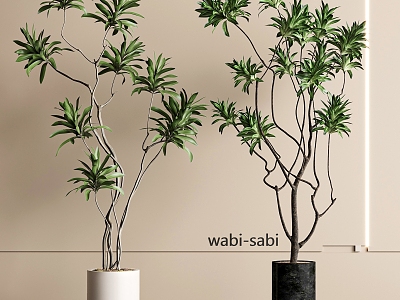 Modern Green Plants Bonsai Floor Plants 3d model