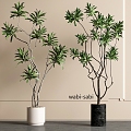 Modern Green Plants Bonsai Floor Plants 3d model