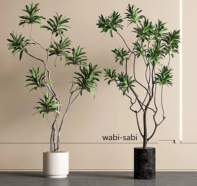 Wabi Sabi Bonsai Plants With Natural Branches Green Leaves In White And Black Pots 3d model
