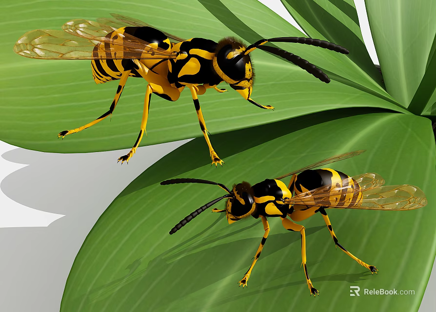 Two Yellow And Black Wasps With Transparent Wings Crawling On Green Leaves 3d model 