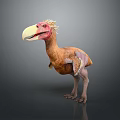 Prehistoric Bird With Large Beak Red Head Brown Body And Short Wings In Standing Posture