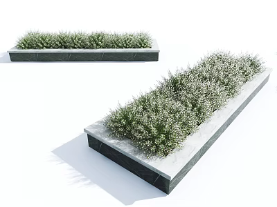 Lush Green Shrubs Growing In Rectangular Stone Planters On White Background 3d model