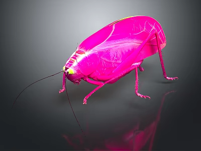Pink Cockroach With Yellow Eyes And Transparent Wings On Dark Background With Reflection 3d model