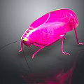 Pink Cockroach With Yellow Eyes And Transparent Wings On Dark Background With Reflection