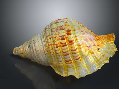 Aquatic Animal Conch Shell With Yellow And White Striped Spiral Pattern And Natural Texture 3d model