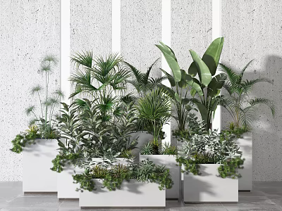 Diverse Green Potted Plants In White Rectangular Planters For Modern Home Decor 3d model