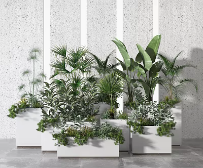 Diverse Green Potted Plants In White Rectangular Planters For Modern Home Decor 3d model