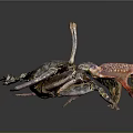 Vibrant Blue Purple Crab With Large Claws And Legs On Dark Background With Reflection