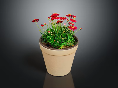 Blooming Red Flower Plant in Terracotta Pot with Green Leaves 3d model