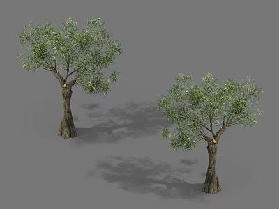 Two Tall Arbor Trees With Green Leaves And Rough Trunks On Gray Background 3d model