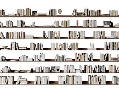 Organized Books And Magazines On Multi Layered Bookshelves With Various Sizes And Neat Rows 3d model