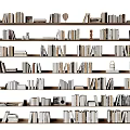 Organized Books And Magazines On Multi Layered Bookshelves With Various Sizes And Neat Rows