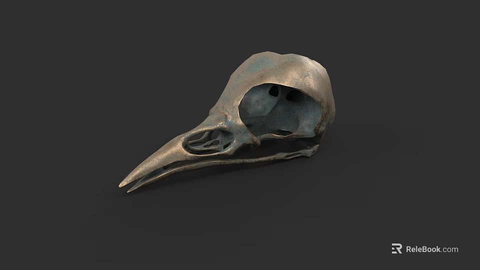 Detailed Bird Skull of Flying Animal with Bronze Patina on Dark Background 3d model 