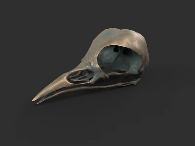 Detailed Bird Skull of Flying Animal with Bronze Patina on Dark Background 3d model