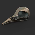 Detailed Bird Skull of Flying Animal with Bronze Patina on Dark Background