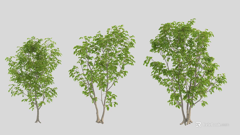 Three Green Leafy Arbor Trees With Varying Sizes And Brown Trunks 3d model