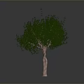 Green Leafy Tree With Brown Trunk Isolated On Gray Background 3D Render 3d model