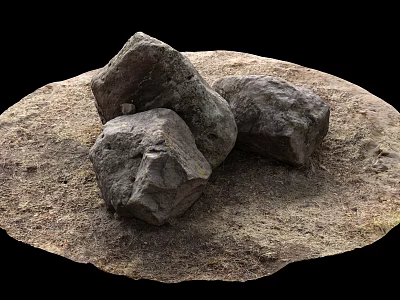 Natural Stone Pieces Arranged On Wooden Surface With Textured Earthy Ground 3d model