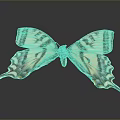 Striped Tailed Butterfly With Brown And White Wings On Dark Background