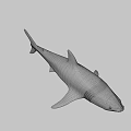 3D Metallic Shark Model With Sleek Surface And Modern Design Features