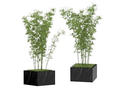 green plant bamboo 3d model