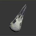 Animal Skull Organ Structure With White And Purple Accents And Fur Details
