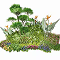 Vibrant Plant Combination With Trees Orange Flowers Purple Blooms And Lush Greenery