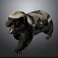 Honey Badger With Black And White Fur Open Mouth Sharp Teeth And Claws