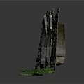 Ancient Stone Wall Ruins With Two Arched Structures Green Moss And Water Reflection