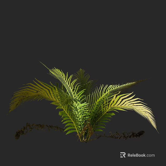 Fresh Lush Green Fern Plant With Vibrant Fronds Against Dark Background 3d model 