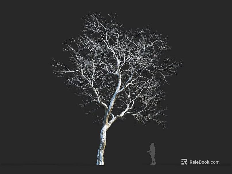 Leafless Tree with White Trunk Against Black Background and Small Human Silhouette 3d model