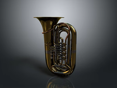 Brass Tuba Instrument with Polished Golden Bell and Chrome Valves 3d model